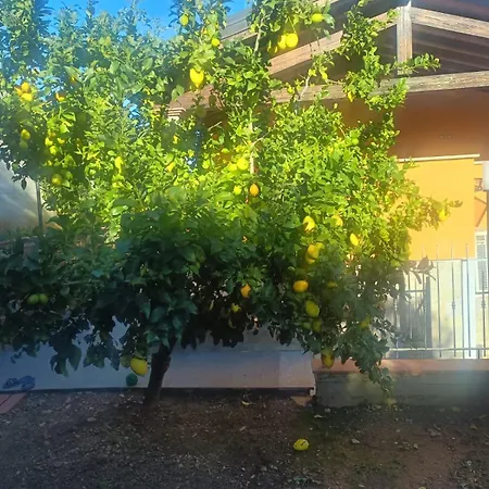 Apartman Casale Gabriella Ergonomico E Spazioso